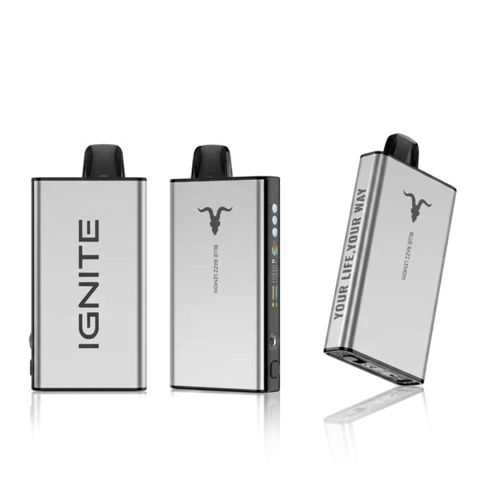 IGNITE V-ICE 40K Disposable